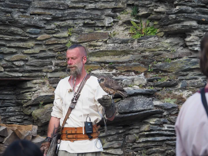 Birds of prey show at Chateau de La Roche-en-Ardenne (Belgium)